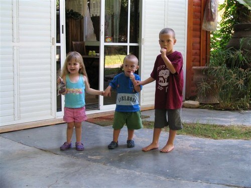 אואזיס גדיש